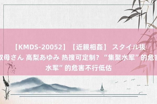 【KMDS-20052】【近親相姦】 スタイル抜群な僕の叔母さん 高梨あゆみ 热搜可定制？“集聚水军”的危害不行低估