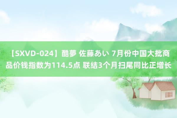 【SXVD-024】酷夢 佐藤あい 7月份中国大批商品价钱指数为114.5点 联结3个月扫尾同比正增长