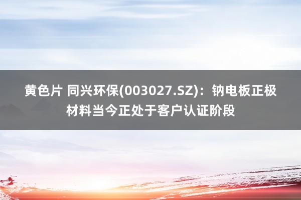 黄色片 同兴环保(003027.SZ)：钠电板正极材料当今正处于客户认证阶段