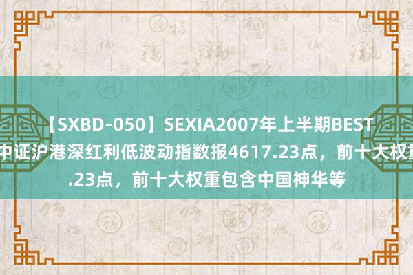 【SXBD-050】SEXIA2007年上半期BEST 全35作品8時間 中证沪港深红利低波动指数报4617.23点，前十大权重包含中国神华等