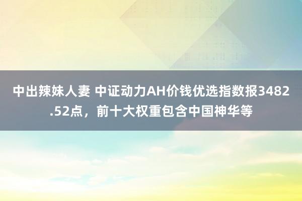 中出辣妹人妻 中证动力AH价钱优选指数报3482.52点，前十大权重包含中国神华等