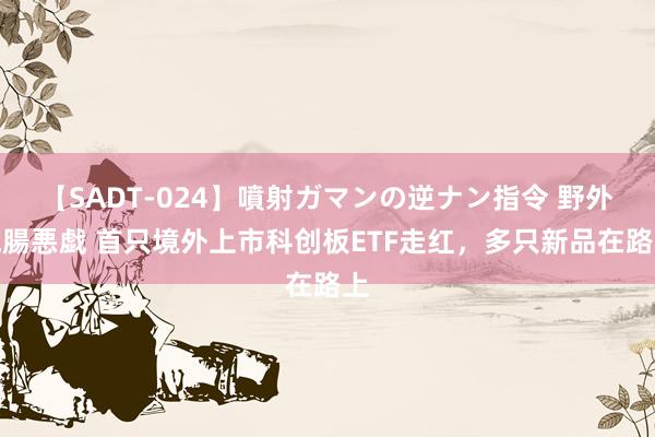 【SADT-024】噴射ガマンの逆ナン指令 野外浣腸悪戯 首只境外上市科创板ETF走红，多只新品在路上