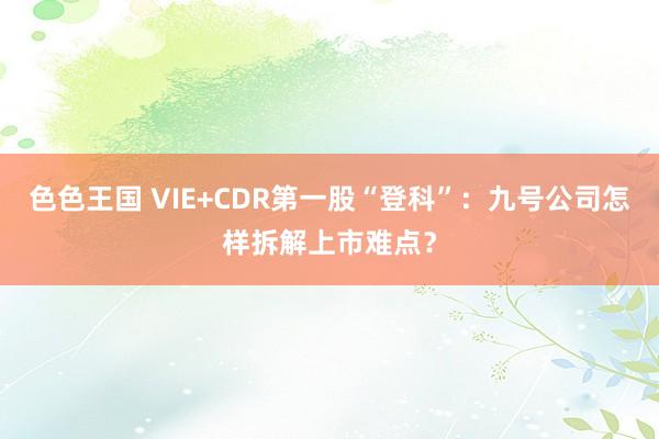 色色王国 VIE+CDR第一股“登科”：九号公司怎样拆解上市难点？