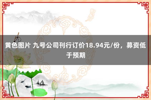 黄色图片 九号公司刊行订价18.94元/份，募资低于预期