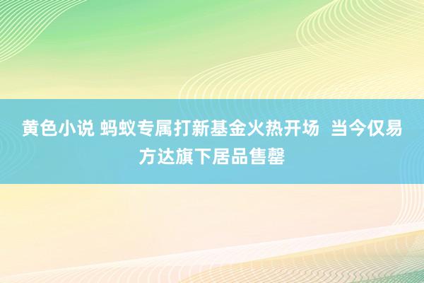 黄色小说 蚂蚁专属打新基金火热开场  当今仅易方达旗下居品售罄