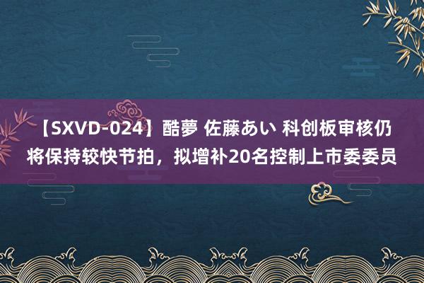 【SXVD-024】酷夢 佐藤あい 科创板审核仍将保持较快节拍，拟增补20名控制上市委委员