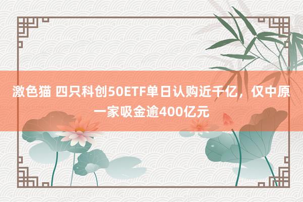 激色猫 四只科创50ETF单日认购近千亿，仅中原一家吸金逾400亿元