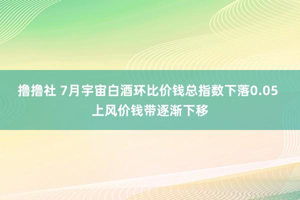 撸撸社 7月宇宙白酒环比价钱总指数下落0.05 上风价钱带逐渐下移