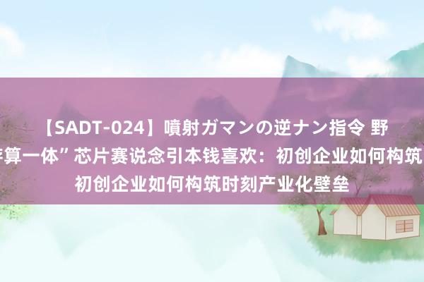 【SADT-024】噴射ガマンの逆ナン指令 野外浣腸悪戯 “存算一体”芯片赛说念引本钱喜欢：初创企业如何构筑时刻产业化壁垒