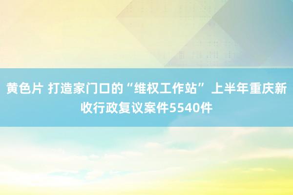 黄色片 打造家门口的“维权工作站” 上半年重庆新收行政复议案件5540件