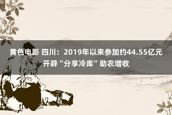 黄色电影 四川：2019年以来参加约44.55亿元开辟“分享冷库”助农增收