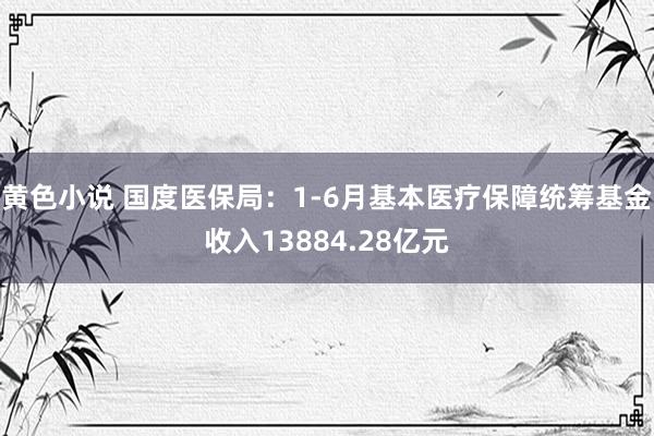 黄色小说 国度医保局：1-6月基本医疗保障统筹基金收入13884.28亿元