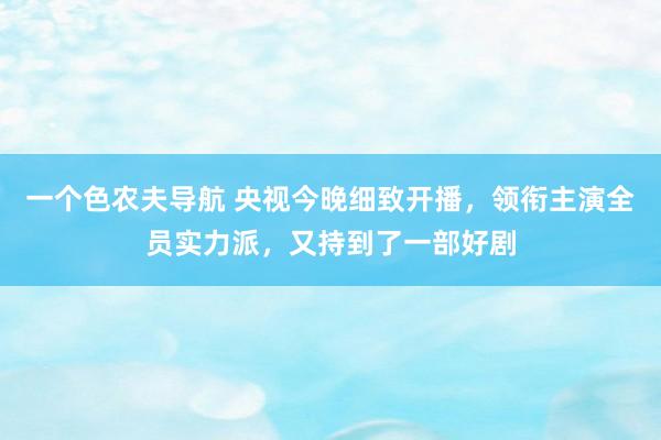 一个色农夫导航 央视今晚细致开播，领衔主演全员实力派，又持到了一部好剧