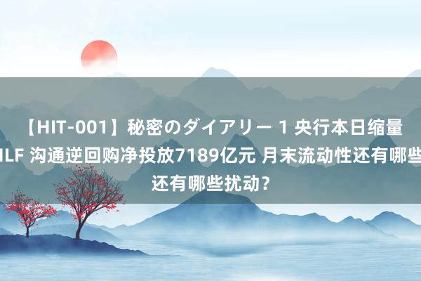 【HIT-001】秘密のダイアリー 1 央行本日缩量续作MLF 沟通逆回购净投放7189亿元 月末流动性还有哪些扰动？