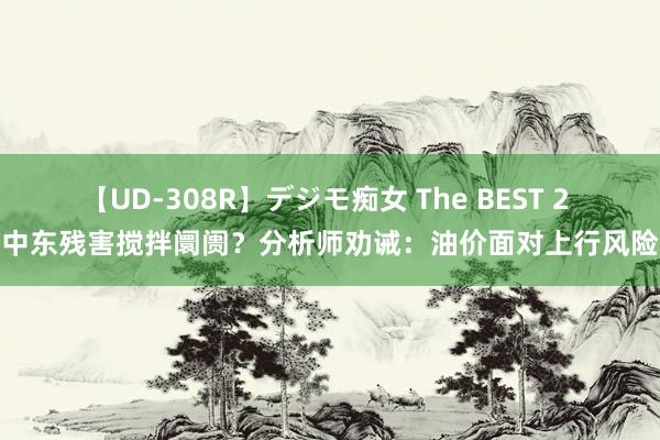 【UD-308R】デジモ痴女 The BEST 2 中东残害搅拌阛阓？分析师劝诫：油价面对上行风险