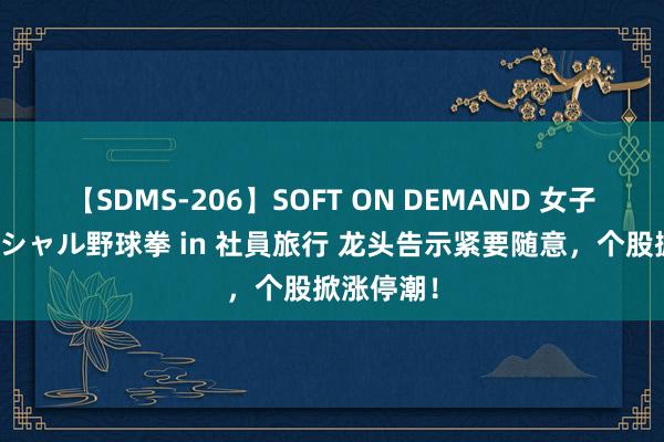 【SDMS-206】SOFT ON DEMAND 女子社員スペシャル野球拳 in 社員旅行 龙头告示紧要随意，个股掀涨停潮！