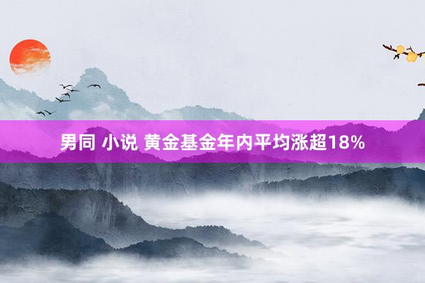 男同 小说 黄金基金年内平均涨超18%