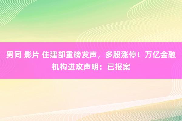 男同 影片 住建部重磅发声，多股涨停！万亿金融机构进攻声明：已报案