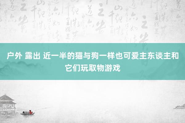 户外 露出 近一半的猫与狗一样也可爱主东谈主和它们玩取物游戏