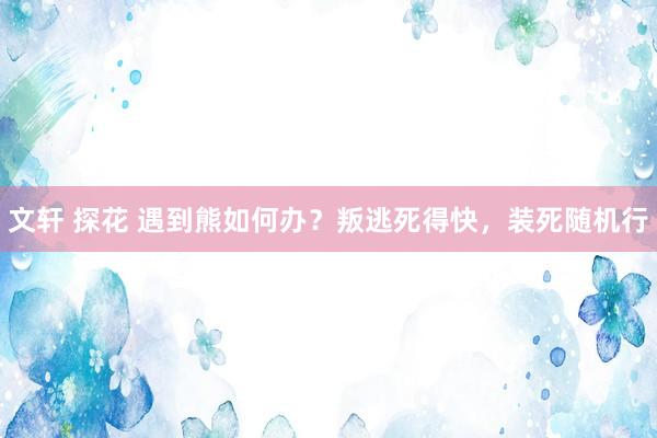 文轩 探花 遇到熊如何办？叛逃死得快，装死随机行