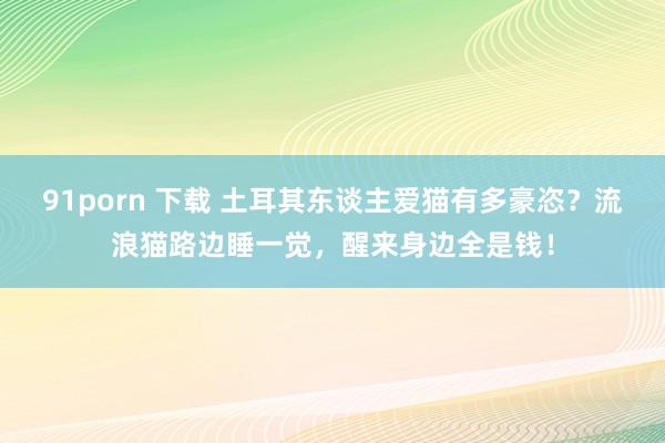 91porn 下载 土耳其东谈主爱猫有多豪恣？流浪猫路边睡一觉，醒来身边全是钱！