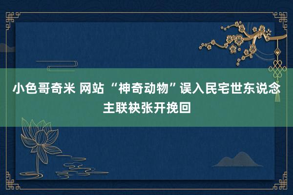 小色哥奇米 网站 “神奇动物”误入民宅世东说念主联袂张开挽回