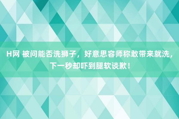 H网 被问能否洗狮子，好意思容师称敢带来就洗，下一秒却吓到腿软谈歉！