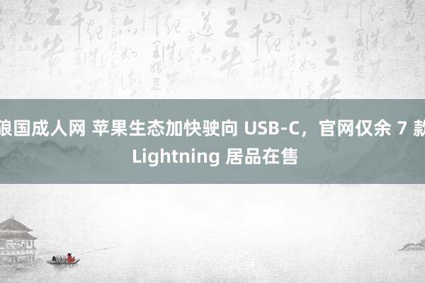 狼国成人网 苹果生态加快驶向 USB-C，官网仅余 7 款 Lightning 居品在售