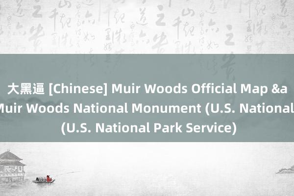 大黑逼 [Chinese] Muir Woods Official Map & Guide - Muir Woods National Monument (U.S. National Park Service)