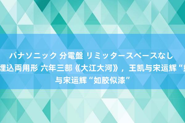 パナソニック 分電盤 リミッタースペースなし 露出・半埋込両用形 六年三部《大江大河》，王凯与宋运辉“如胶似漆”