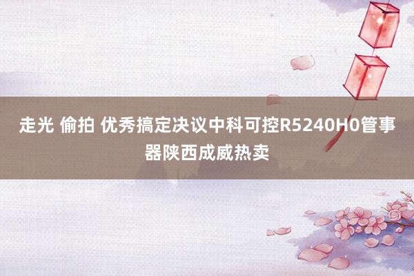 走光 偷拍 优秀搞定决议中科可控R5240H0管事器陕西成威热卖